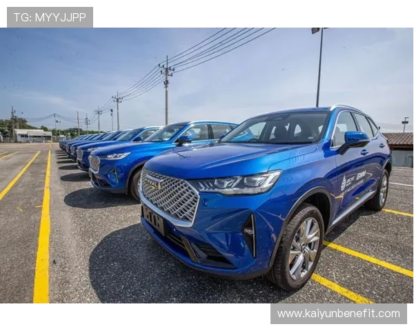 乐云体育的未来发展规划：新功能、新合作伙伴及全球化布局展望